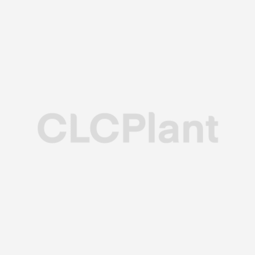 CLC Block Making Equipment