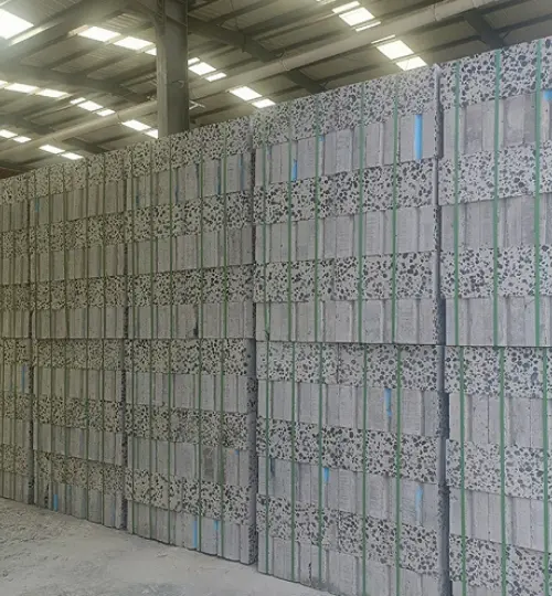 Inner Mongolia Ordos customer daily output of 300 cubic meters of lightweight block project